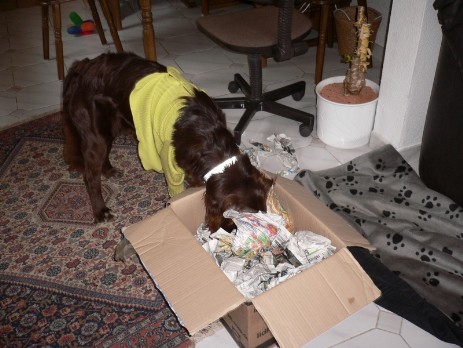 auspacken