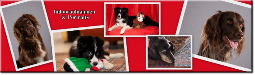 Indoor und Portraits
