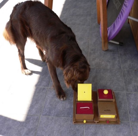 Pokerbox