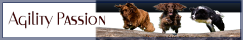 HP Banner